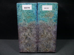 Stabilized Double Dyed Box Elder Scales SW5579