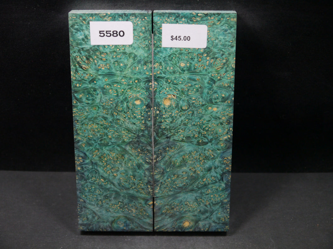 Stabilized Double Dyed Box Elder Scales SW5580