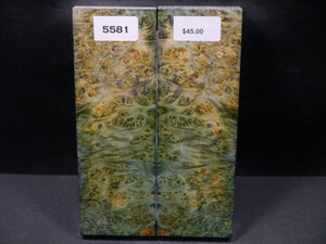 Stabilized Double Dyed Box Elder Scales SW5581
