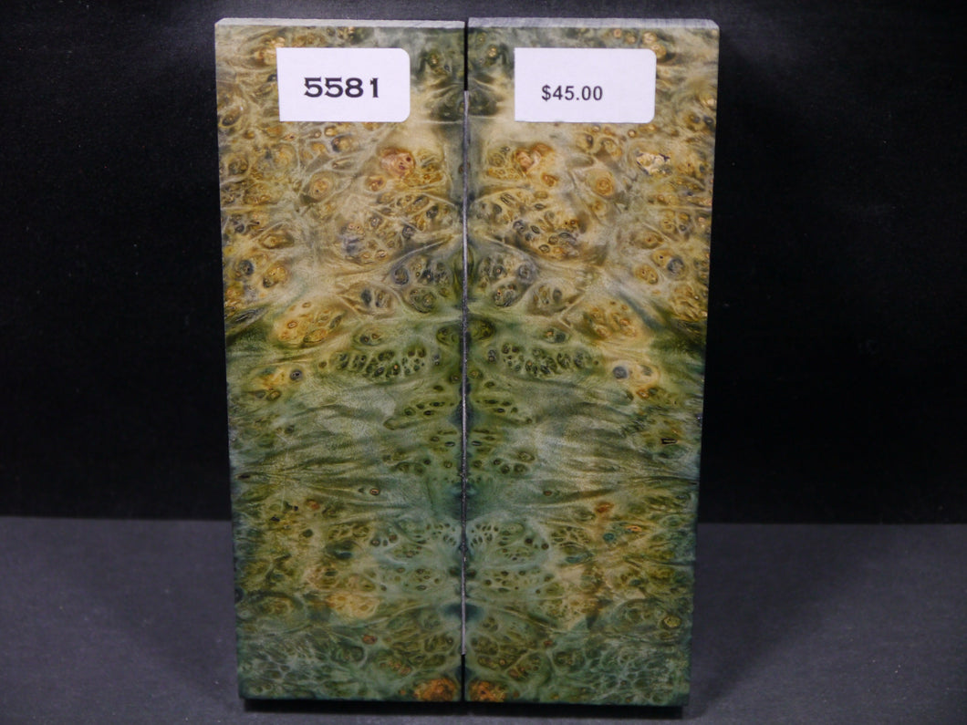 Stabilized Double Dyed Box Elder Scales SW5581