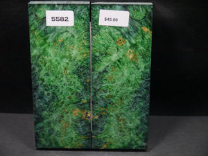 Stabilized Double Dyed Box Elder Scales SW5582