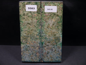 Stabilized Double Dyed Box Elder Scales SW5583