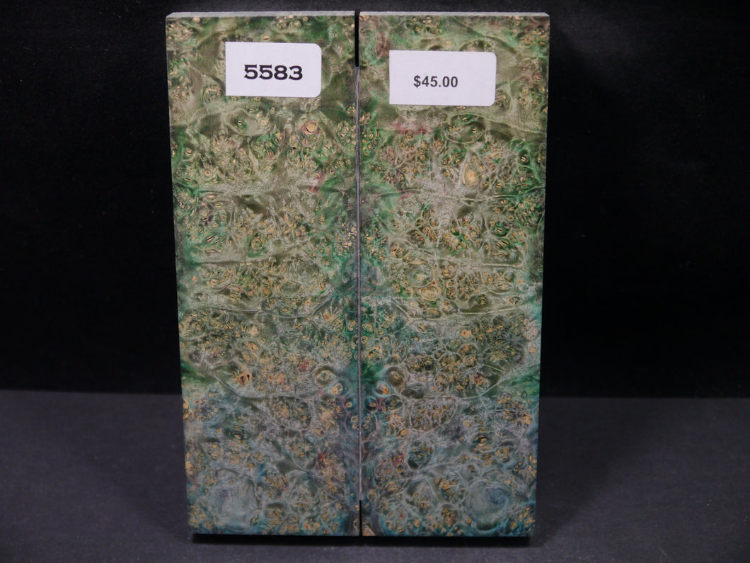 Stabilized Double Dyed Box Elder Scales SW5583