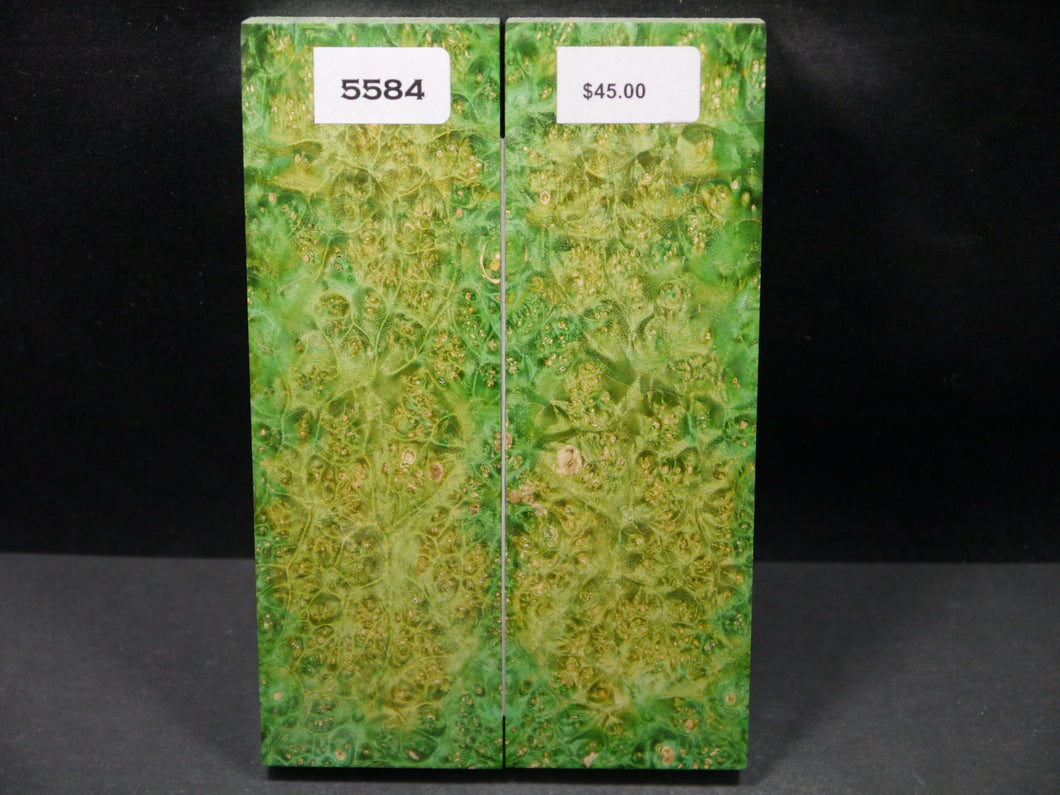 Stabilized Double Dyed Box Elder Scales SW5584