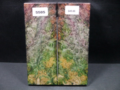 Stabilized Double Dyed Box Elder Scales SW5585