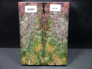 Stabilized Double Dyed Box Elder Scales SW5585