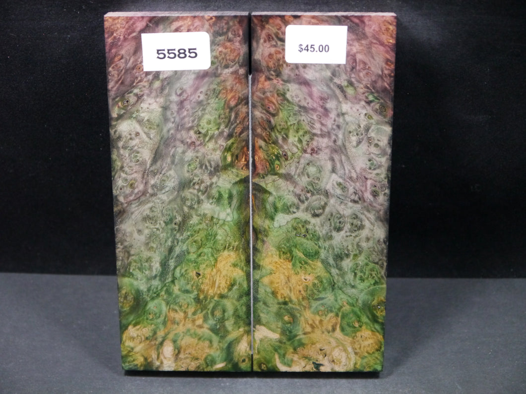 Stabilized Double Dyed Box Elder Scales SW5585