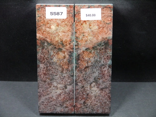 Stabilized Double Dyed Box Elder Scales SW5587