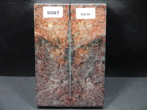 Stabilized Double Dyed Box Elder Scales SW5587