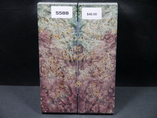 Stabilized Double Dyed Box Elder Scales SW5588