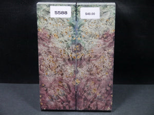 Stabilized Double Dyed Box Elder Scales SW5588