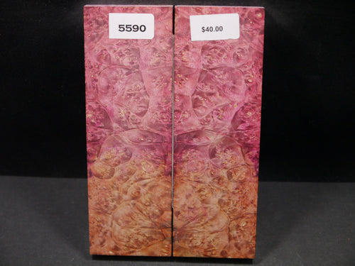 Stabilized Double Dyed Box Elder Scales SW5590
