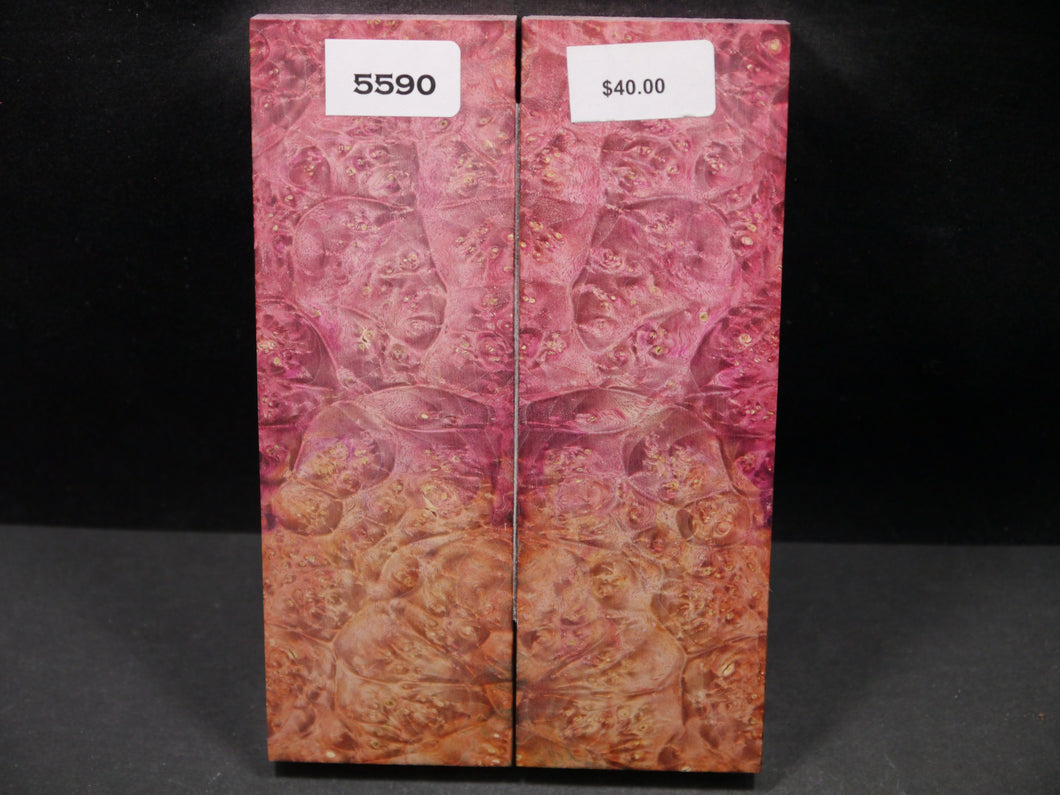 Stabilized Double Dyed Box Elder Scales SW5590