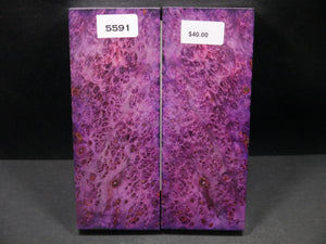 Stabilized Double Dyed Box Elder Scales SW5591