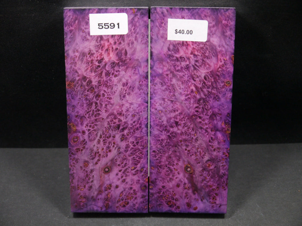Stabilized Double Dyed Box Elder Scales SW5591