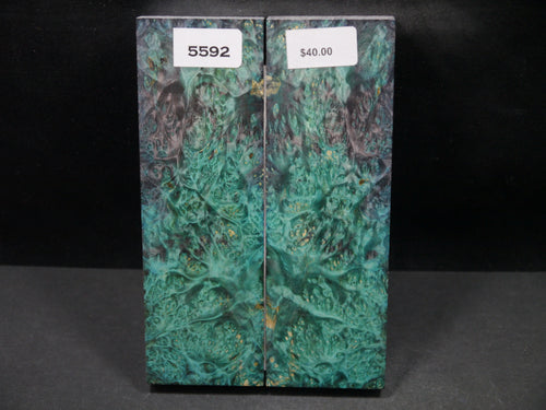 Stabilized Double Dyed Box Elder Scales SW5592
