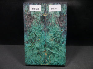 Stabilized Double Dyed Box Elder Scales SW5592