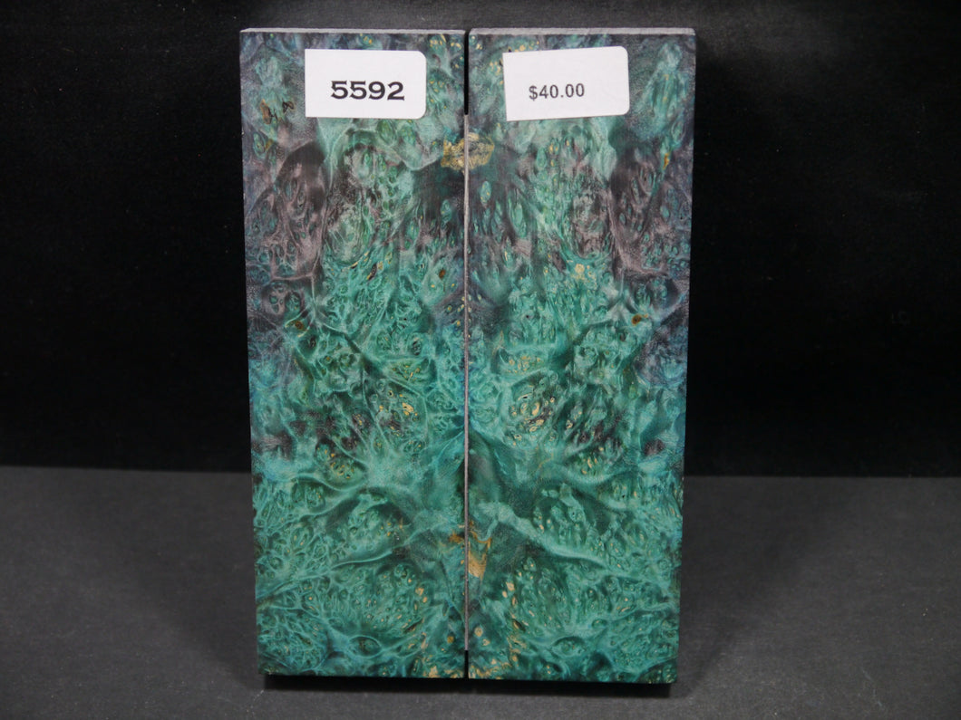 Stabilized Double Dyed Box Elder Scales SW5592