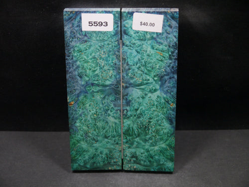 Stabilized Double Dyed Box Elder Scales SW5593