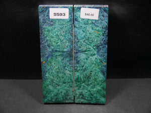 Stabilized Double Dyed Box Elder Scales SW5593