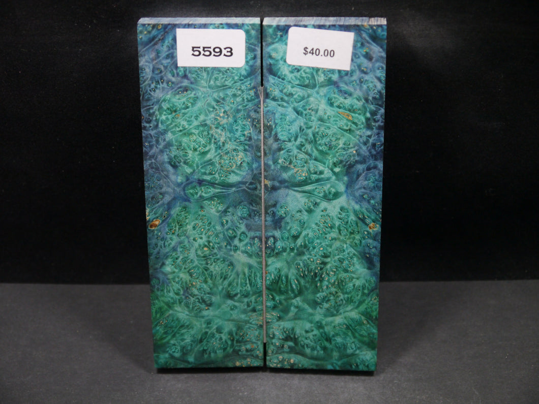 Stabilized Double Dyed Box Elder Scales SW5593