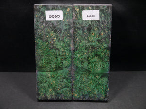 Stabilized Double Dyed Box Elder Scales SW5595