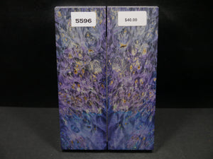Stabilized Double Dyed Box Elder Scales SW5596