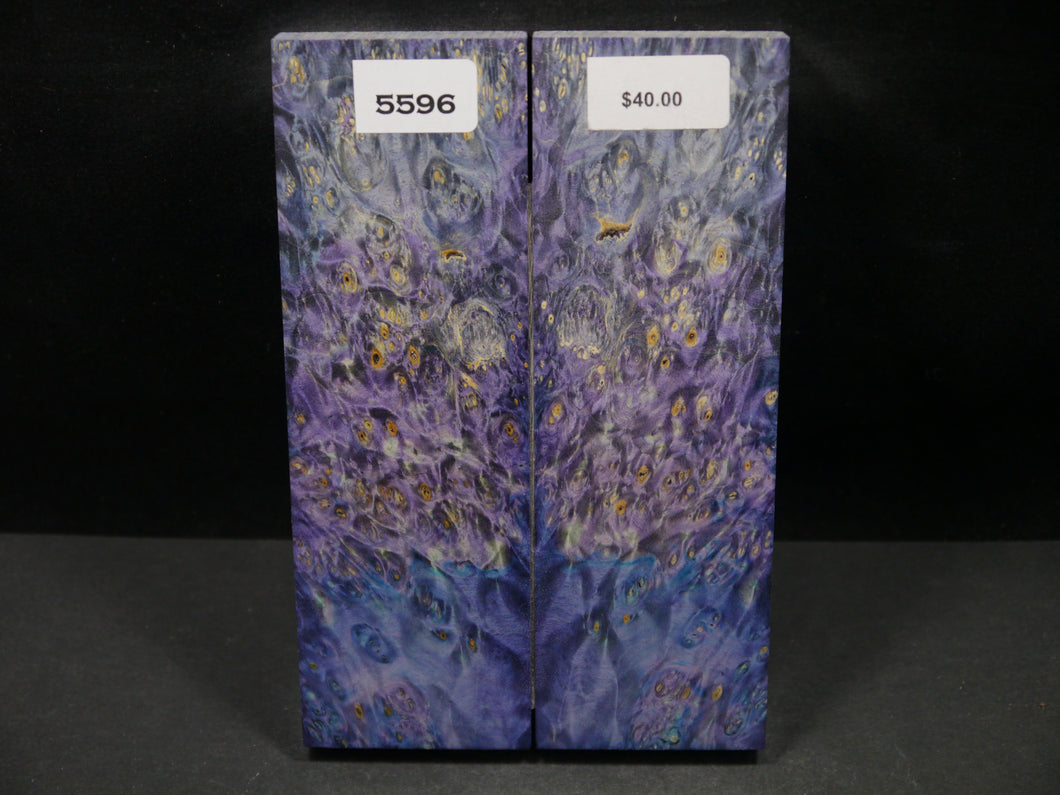 Stabilized Double Dyed Box Elder Scales SW5596