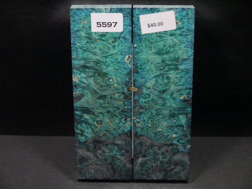 Stabilized Double Dyed Box Elder Scales SW5597