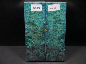 Stabilized Double Dyed Box Elder Scales SW5597