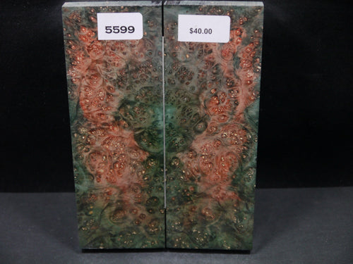 Stabilized Double Dyed Box Elder Scales SW5599