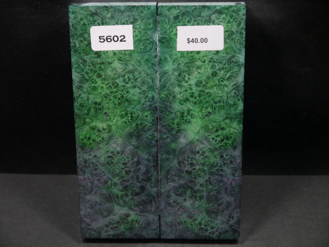 Stabilized Double Dyed Box Elder Scales SW5602