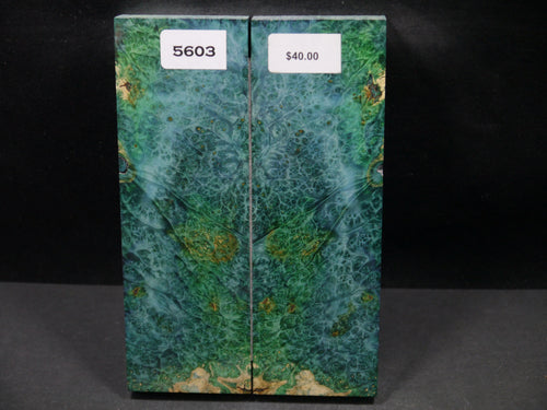 Stabilized Double Dyed Box Elder Scales SW5603