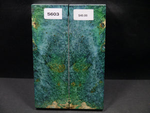 Stabilized Double Dyed Box Elder Scales SW5603