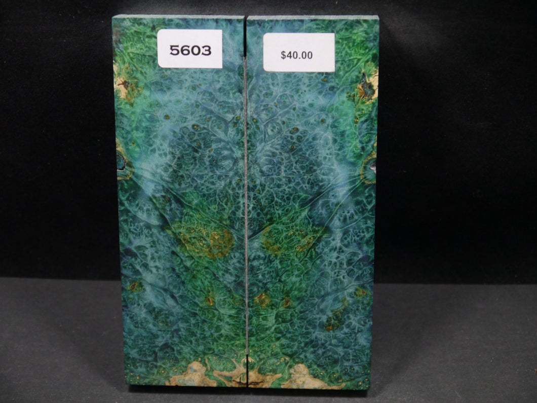 Stabilized Double Dyed Box Elder Scales SW5603