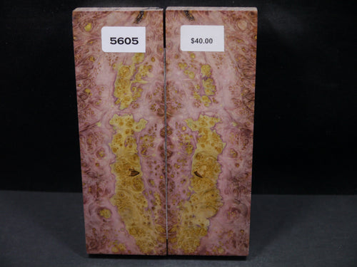 Stabilized Double Dyed Box Elder Scales SW5605