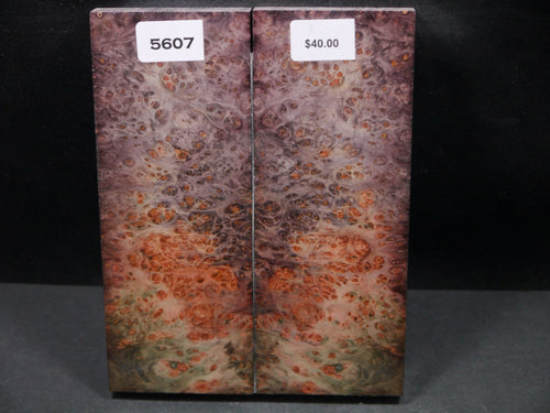 Stabilized Double Dyed Box Elder Scales SW5607