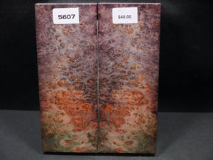 Stabilized Double Dyed Box Elder Scales SW5607