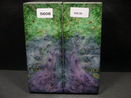Stabilized Double Dyed Box Elder Scales SW5608