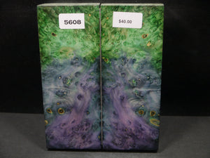 Stabilized Double Dyed Box Elder Scales SW5608