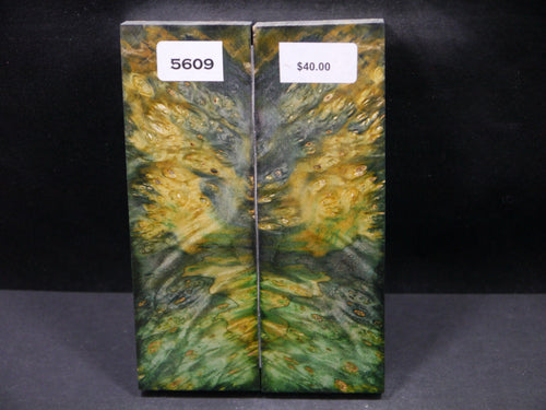 Stabilized Double Dyed Box Elder Scales SW5609
