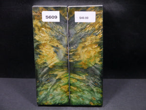 Stabilized Double Dyed Box Elder Scales SW5609