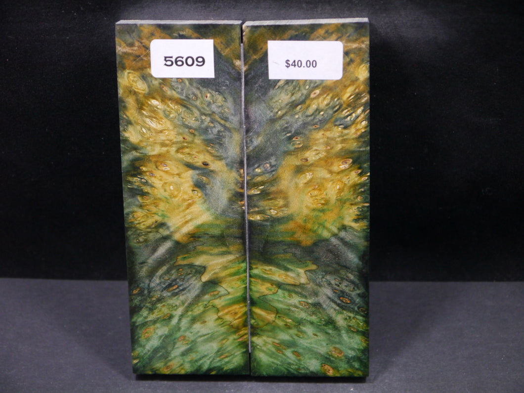 Stabilized Double Dyed Box Elder Scales SW5609