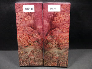 Stabilized Double Dyed Box Elder Scales SW5610