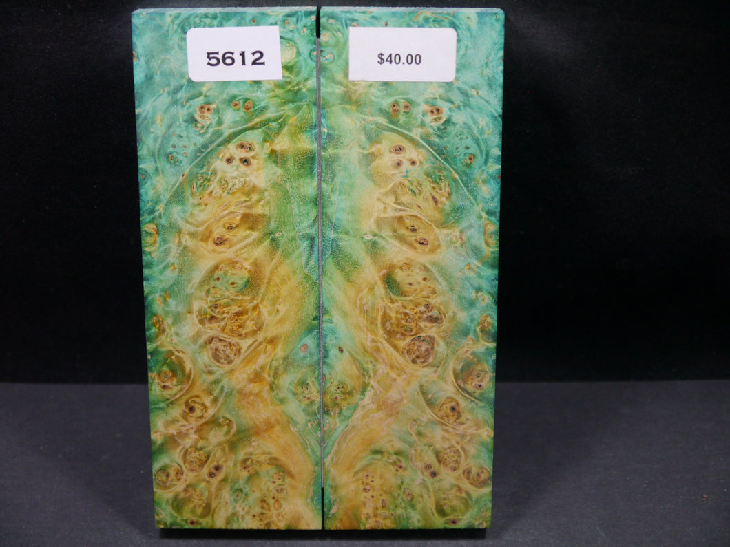 Stabilized Double Dyed Box Elder Scales SW5612
