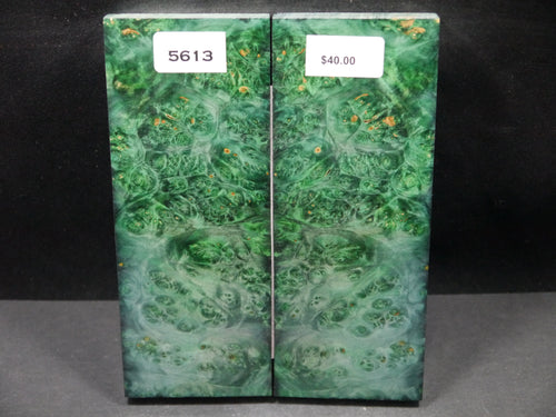 Stabilized Double Dyed Box Elder Scales SW5613