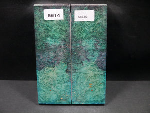 Stabilized Double Dyed Box Elder Scales SW5614