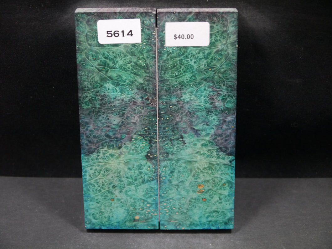 Stabilized Double Dyed Box Elder Scales SW5614