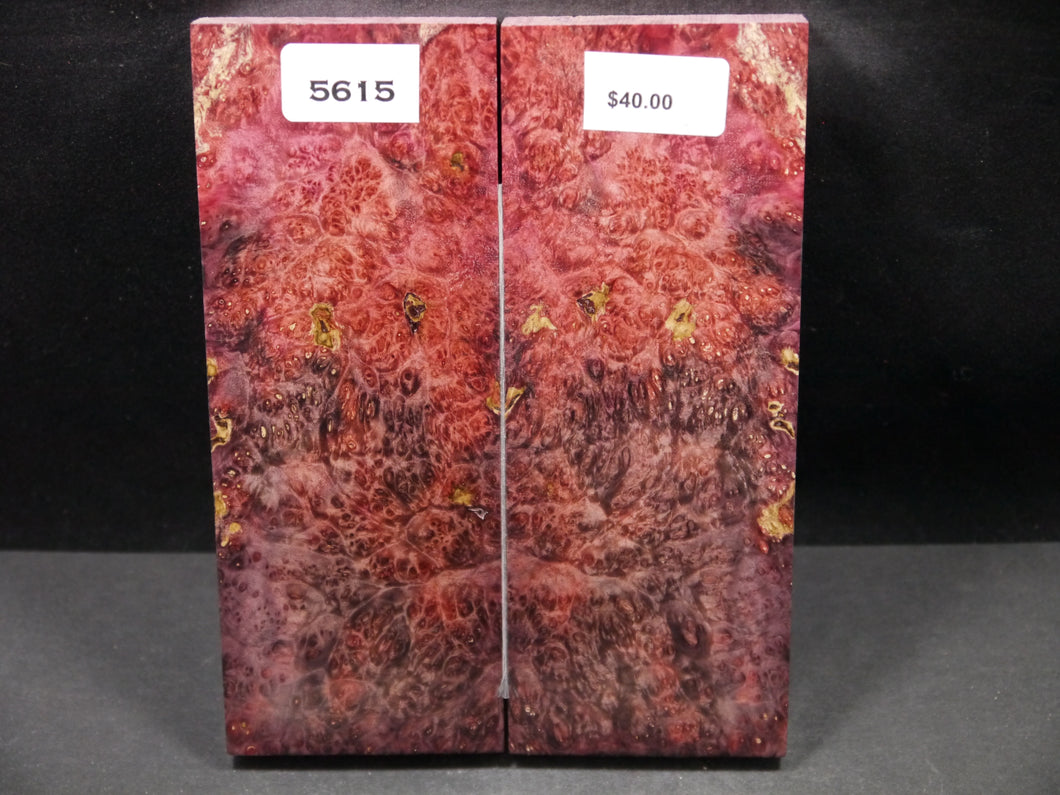 Stabilized Double Dyed Box Elder Scales SW5615