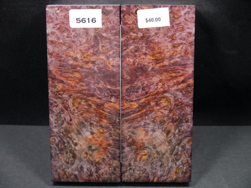 Stabilized Double Dyed Box Elder Scales SW5616